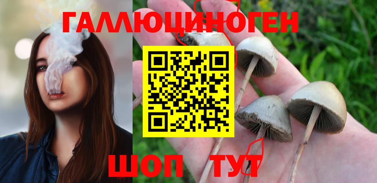 Галлюциногенные грибы прущие грибы Кирово-Чепецк